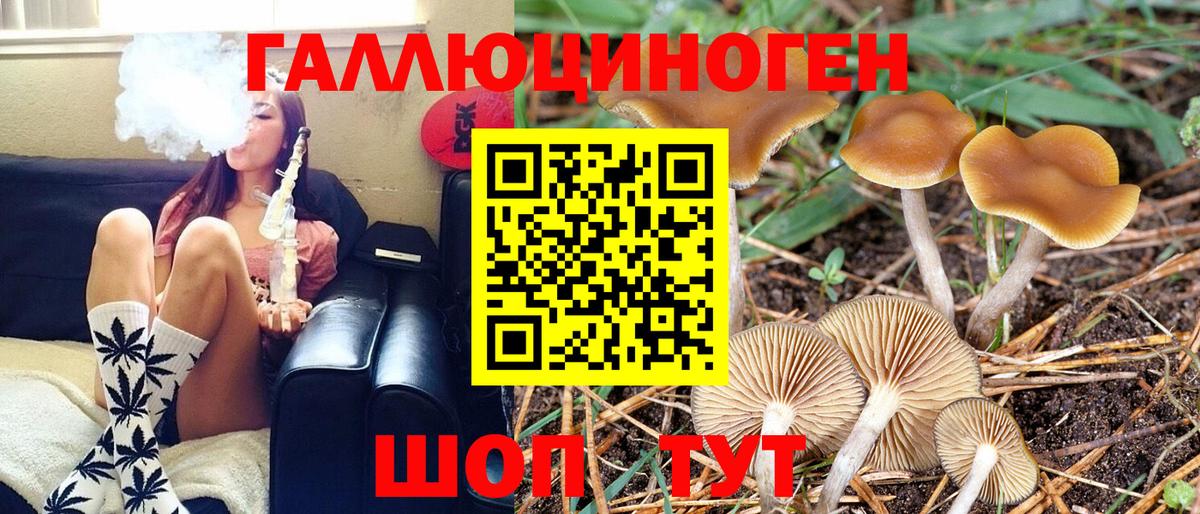 Псилоцибиновые грибы прущие грибы Кувандык