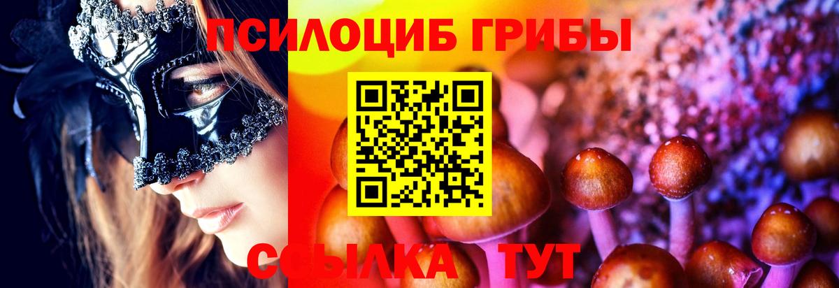 Галлюциногенные грибы Cubensis  Галлюциногенные грибы Cubensis  Вход с VPN  Кувандык 